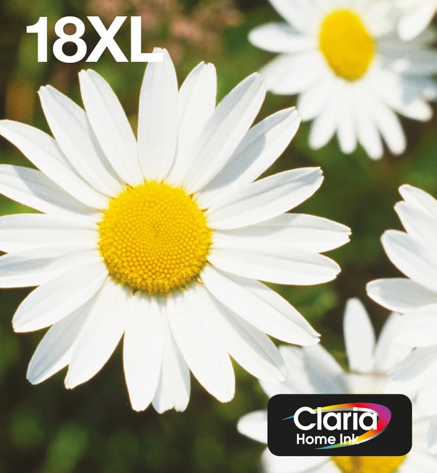 Epson Daisy Multipack EasyMail "Pâquerette" 18XL - Encre Claria Home N,C,M,J