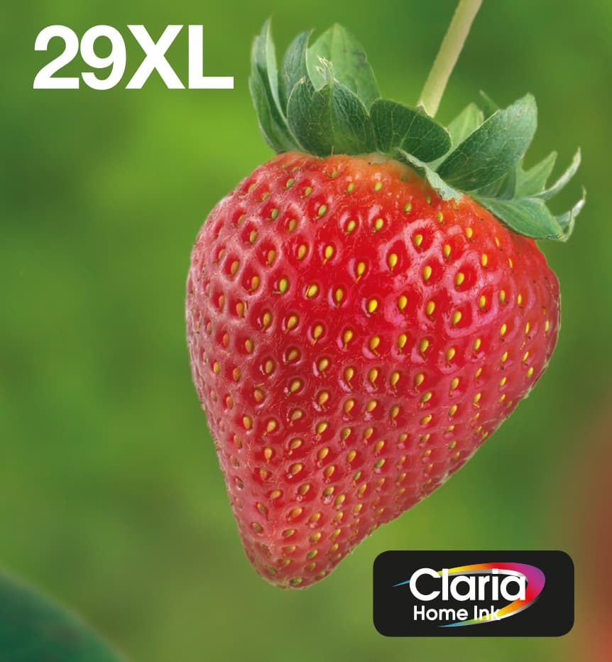 Epson Strawberry Multipack EasyMail "Fraise" 29XL - Encre Claria Home N,C,M,J