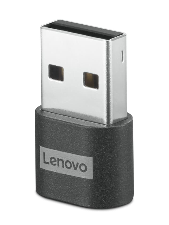 Lenovo 4X91C99226 changeur de genre de câble USB-C USB-A Noir