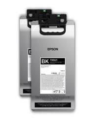 Epson UltraChrome RS cartouche d'encre 2 pièce(s) Original Noir