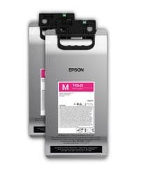 Epson UltraChrome RS cartouche d'encre 2 pièce(s) Original Magenta