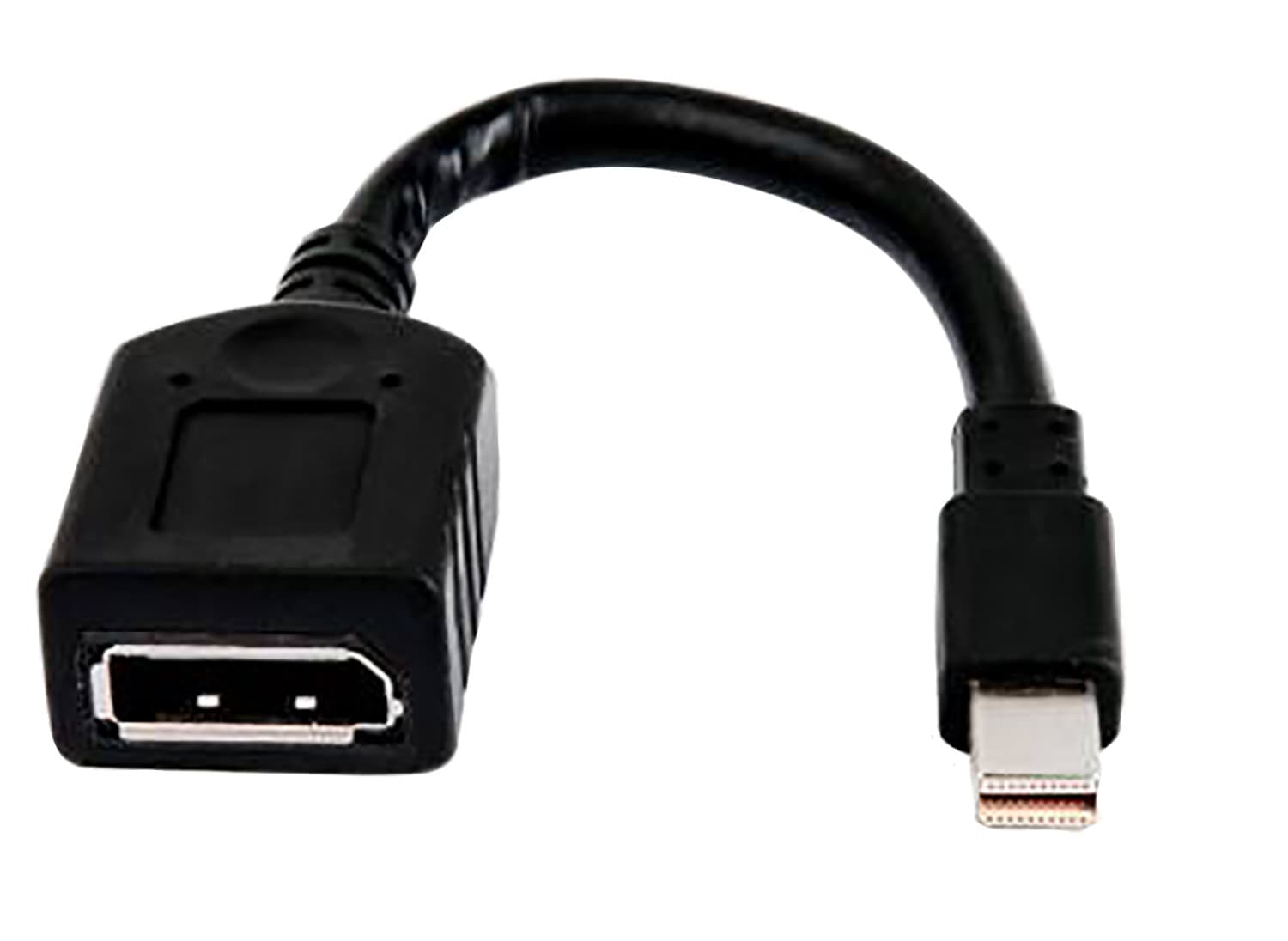 HP Câble adaptateur miniDP-DP
