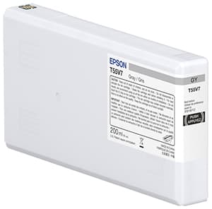 Epson UltraChrome Pro10 cartouche d'encre 1 pièce(s) Original Gris