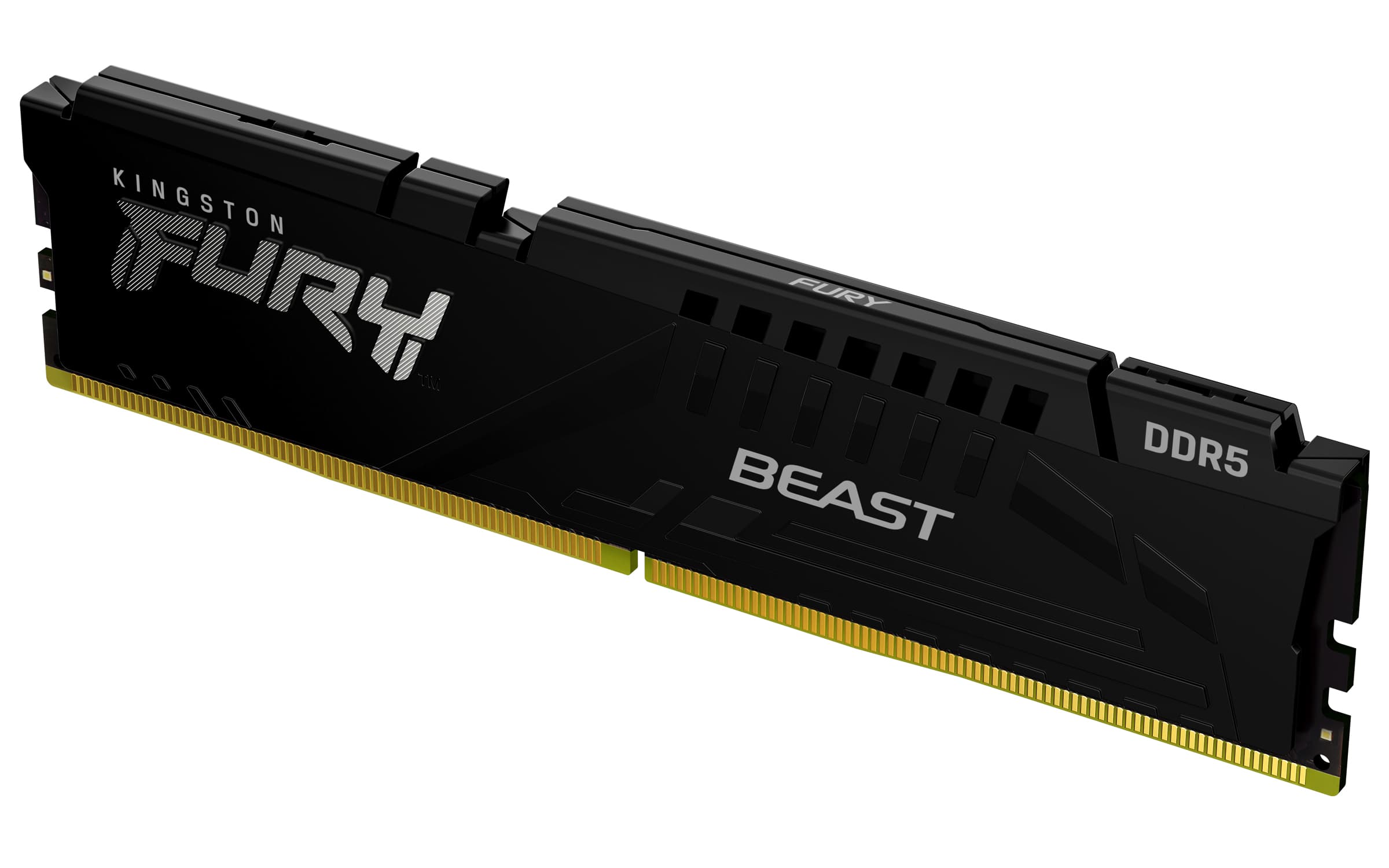 Kingston Technology FURY Beast 32 Go 6000 MT/s DDR5 CL30 DIMM Black EXPO