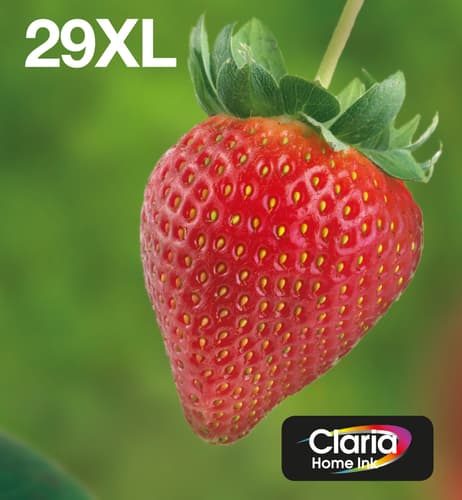 Epson Strawberry Multipack EasyMail "Fraise" 29XL - Encre Claria Home N,C,M,J