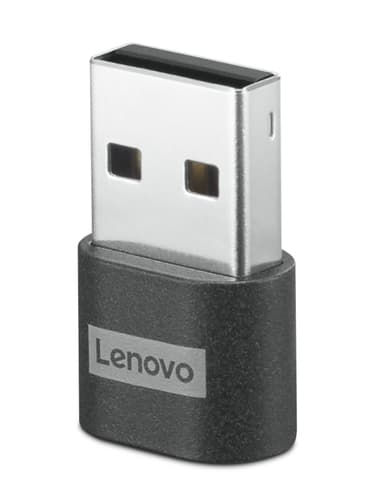 Lenovo 4X91C99226 changeur de genre de câble USB-C USB-A Noir