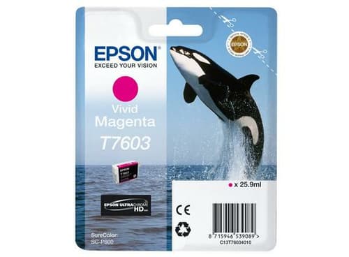 Epson C13T76034N10 cartouche d'encre 1 pièce(s) Original Magenta vif
