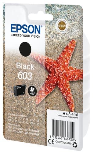 Epson Singlepack Black 603 Ink